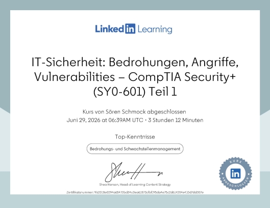 IT-Sicherheit: Bedrohungen, Angriffe, Vulnerabilities – CompTIA Security+ (SY0-601) Teil 1
